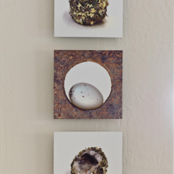 interior-design-room-1